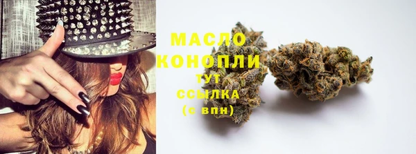дживик Зерноград