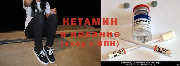 сатива Зеленодольск