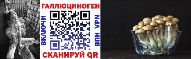 Псилоцибиновые грибы GOLDEN TEACHER  Купить  Гудермес 