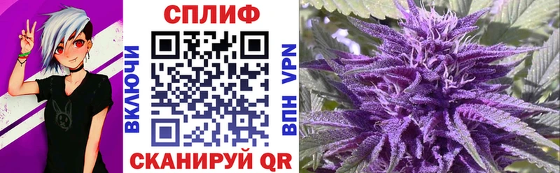 Купить закладки  Гудермес  Шишки марихуана индика 